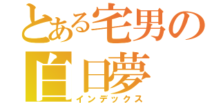 とある宅男の白日夢（インデックス）