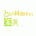 とある林加平の笨蛋（沒救了）