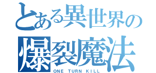 とある異世界の爆裂魔法（ＯＮＥ ＴＵＲＮ ＫＩＬＬ）