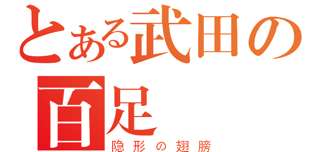 とある武田の百足衆（隐形の翅膀）