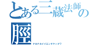 とある三蔵法師の脛（ナカナカイイエンギヤッタワ）