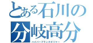 とある石川の分岐高分子（ハイパーブランチポリマー）