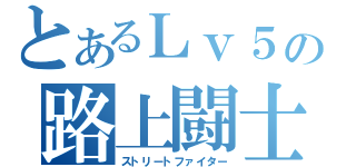 とあるＬｖ５の路上闘士（ストリートファイター）