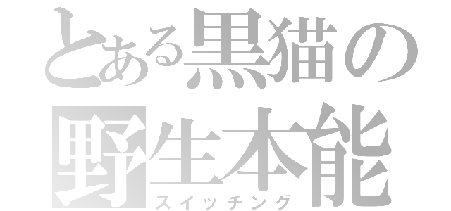 とある黒猫の野生本能（スイッチング）