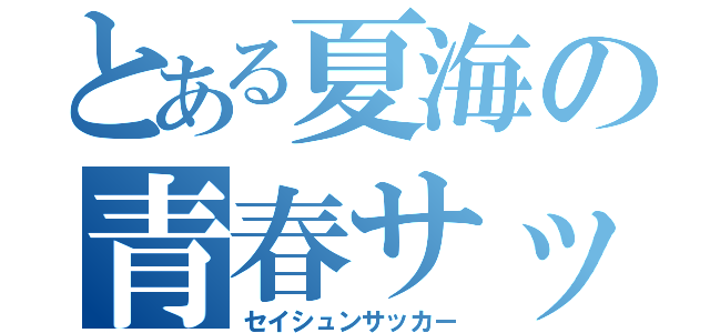 とある夏海の青春サッカー（セイシュンサッカー）