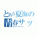 とある夏海の青春サッカー（セイシュンサッカー）