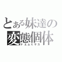 とある妹達の変態個体（ドエムミサカ）