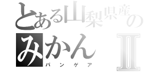 とある山梨県産のみかんⅡ（パ　　ン　　ゲ　　ア）