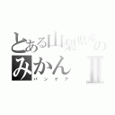 とある山梨県産のみかんⅡ（パ　　ン　　ゲ　　ア）