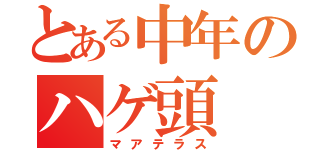 とある中年のハゲ頭（マアテラス）