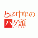 とある中年のハゲ頭（マアテラス）