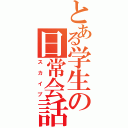 とある学生の日常会話（スカイプ）