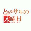 とあるサルの木曜日（１０月１６日）