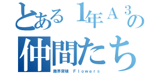 とある１年Ａ３組の仲間たち（限界突破 Ｆｌｏｗｅｒｓ）