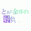 とある金哥の好色（色死了）