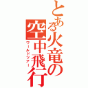 とある火竜の空中飛行（ワールドツアー）