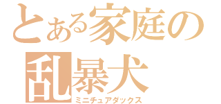 とある家庭の乱暴犬（ミニチュアダックス）