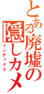 とある廃墟の隠しカメラ（インデックス）