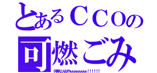 とあるＣＣＯの可燃ごみ（何考えとんねやぁぁぁぁぁぁぁぁ！！！！！！）