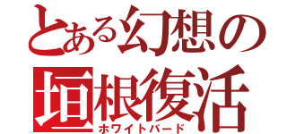 とある幻想の垣根復活（ホワイトバード）