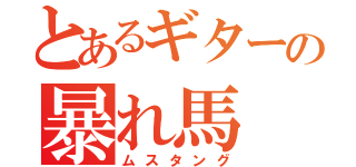 とあるギターの暴れ馬（ムスタング）