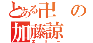 とある卍の加藤諒（エリー）