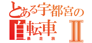 とある宇都宮の自転車Ⅱ（暴走族）