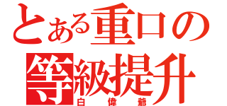 とある重口の等級提升（白偉爺）