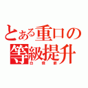 とある重口の等級提升（白偉爺）