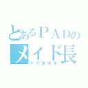 とあるＰＡＤのメイド長（十六夜咲夜）