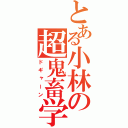 とある小林の超鬼畜学（ドギャーン）