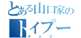 とある山口家のトイプードル（ナッツ）