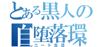 とある黒人の自堕落環境（ニート生活）