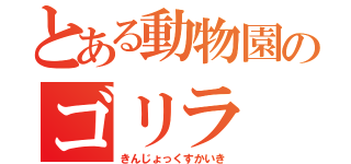 とある動物園のゴリラ（きんじょっくすかいき）