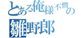 とある俺様不憫の雛野郎（）