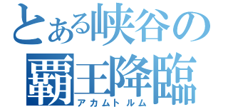 とある峡谷の覇王降臨（アカムトルム）