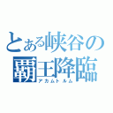 とある峡谷の覇王降臨（アカムトルム）