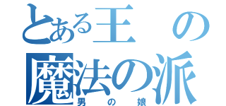 とある王の魔法の派（男の娘）