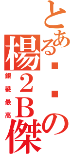 とある银发の楊２Ｂ傑（銀髮最高）