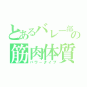 とあるバレー部の筋肉体質（パワータイプ）