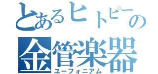 とあるヒトピーの金管楽器（ユーフォニアム）