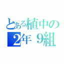 とある植中の２年９組（）