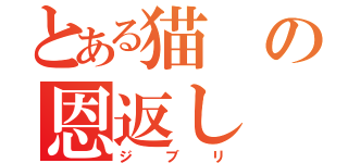 とある猫の恩返し（ジブリ）