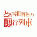 とある湘南色の現行列車（）