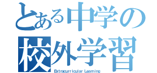 とある中学の校外学習（Ｅｘｔｒａｃｕｒｒｉｃｕｌａｒ Ｌｅａｒｎｉｎｇ）