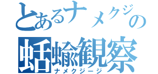 とあるナメクジの蛞蝓観察（ナメクジージ）