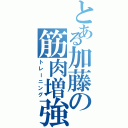 とある加藤の筋肉増強（トレーニング）