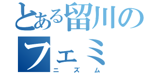 とある留川のフェミ（ニズム）