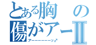 とある胸の傷がアーーーーッⅡ（アーーーーーーッ♂）