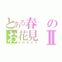 とある春のお花見Ⅱ（ＮＭＢ４８）